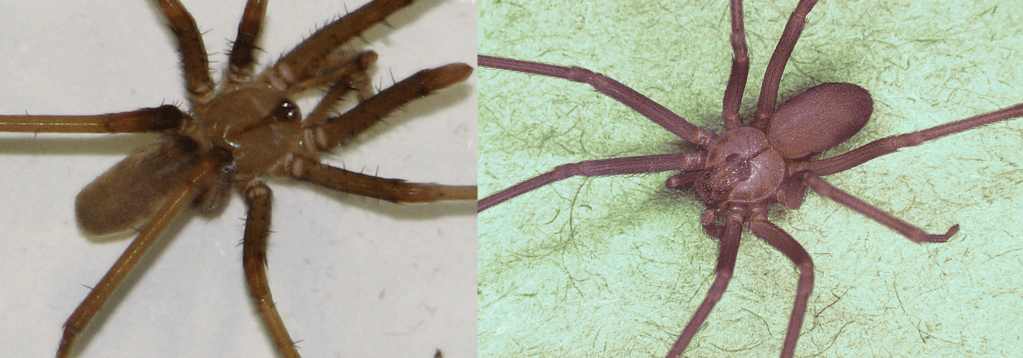 This image has an empty alt attribute; its file name is g133.png